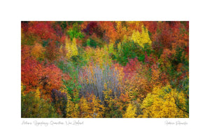 Autumn Symphony, Queenstown, New Zealand