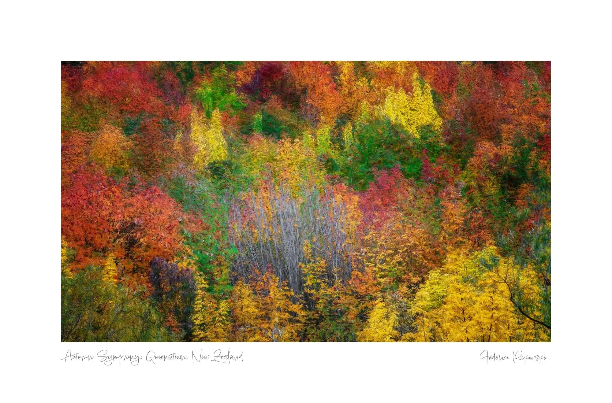Autumn Symphony, Queenstown, New Zealand (int)
