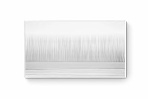 Christchurch's Minimalistic Forest, Christchurch, New Zealand