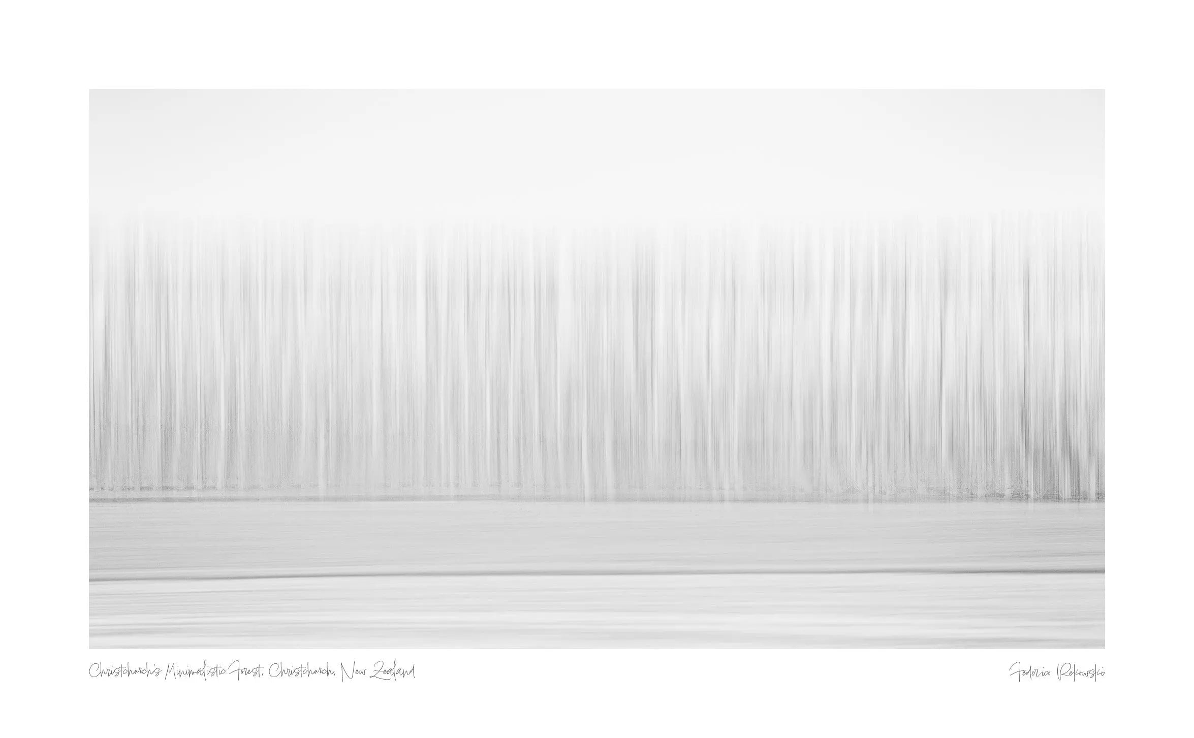 Christchurch's Minimalistic Forest, Christchurch, New Zealand