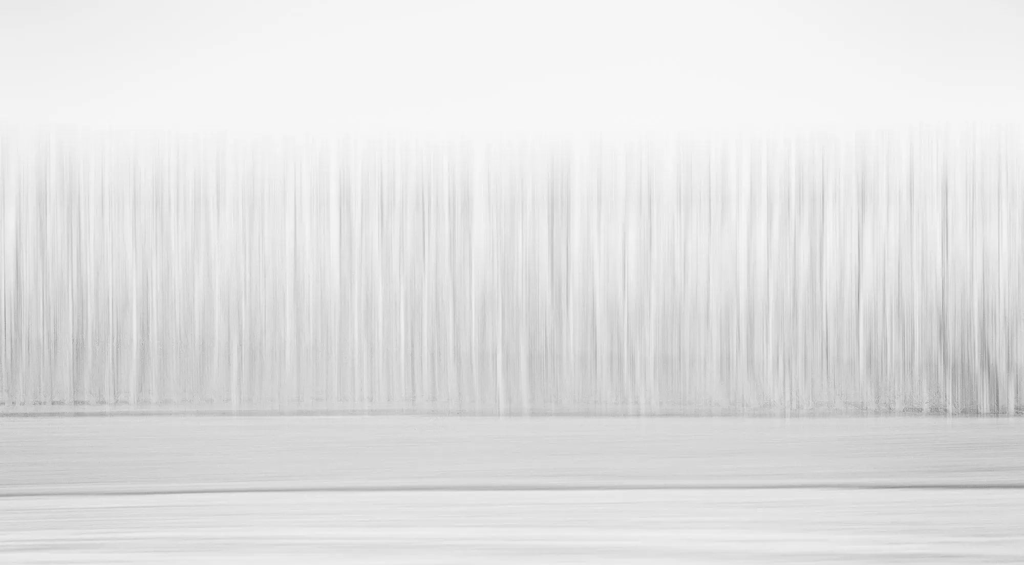 Christchurch's Minimalistic Forest, Christchurch, New Zealand