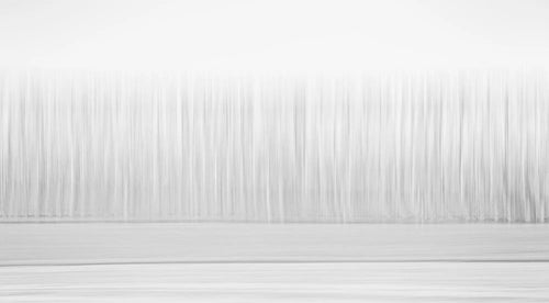 Christchurch's Minimalistic Forest, Christchurch, New Zealand