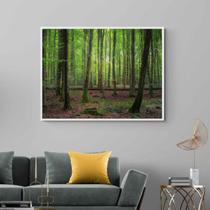 Copenhagen's Forest Tower, Copenhagen, Denmark