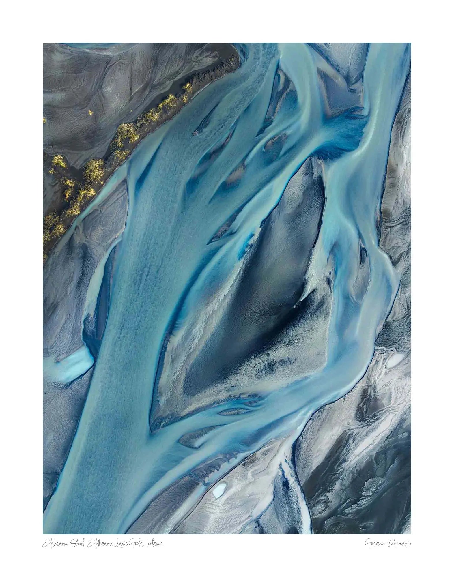 Eldhraun Seal, Eldhraun Lava Field, Iceland