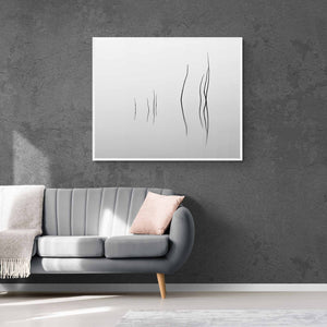 Family of Eight, Lake Tekapo, New Zealand