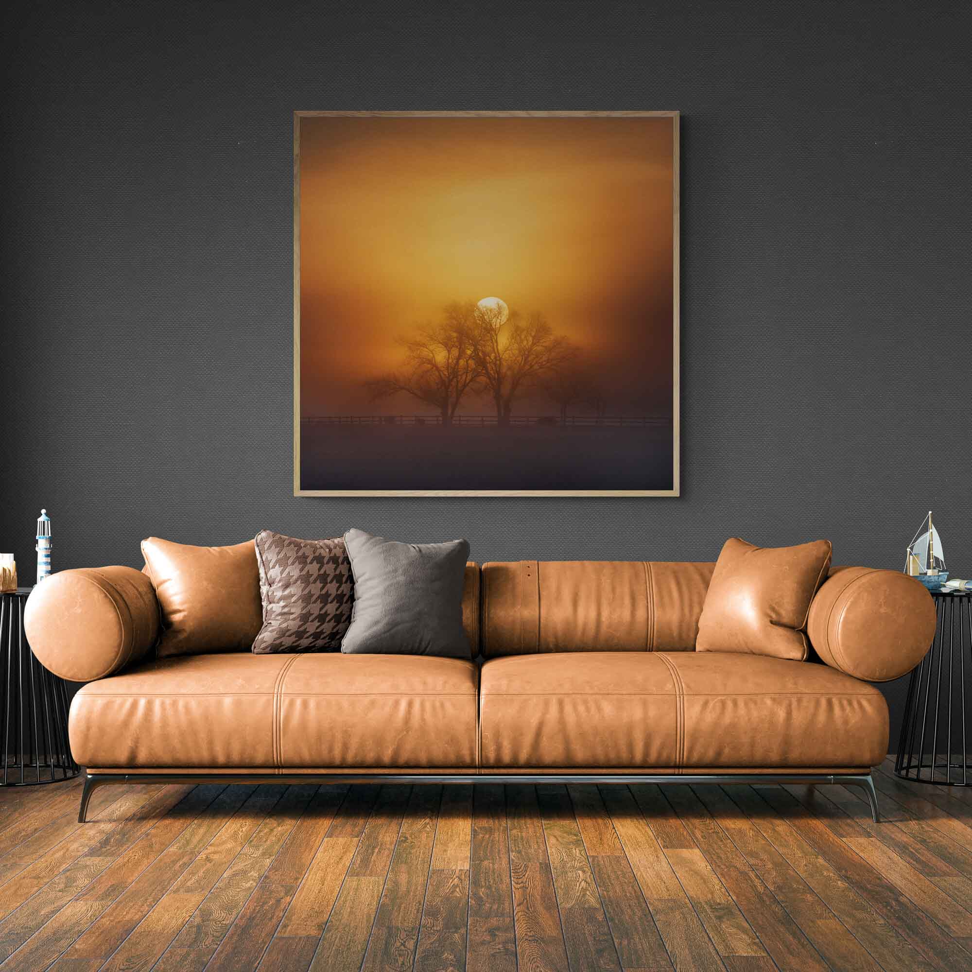 Harmony of Light at Richmond Lowlands, Sydney, Australia