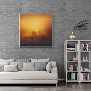 Harmony of Light at Richmond Lowlands, Sydney, Australia