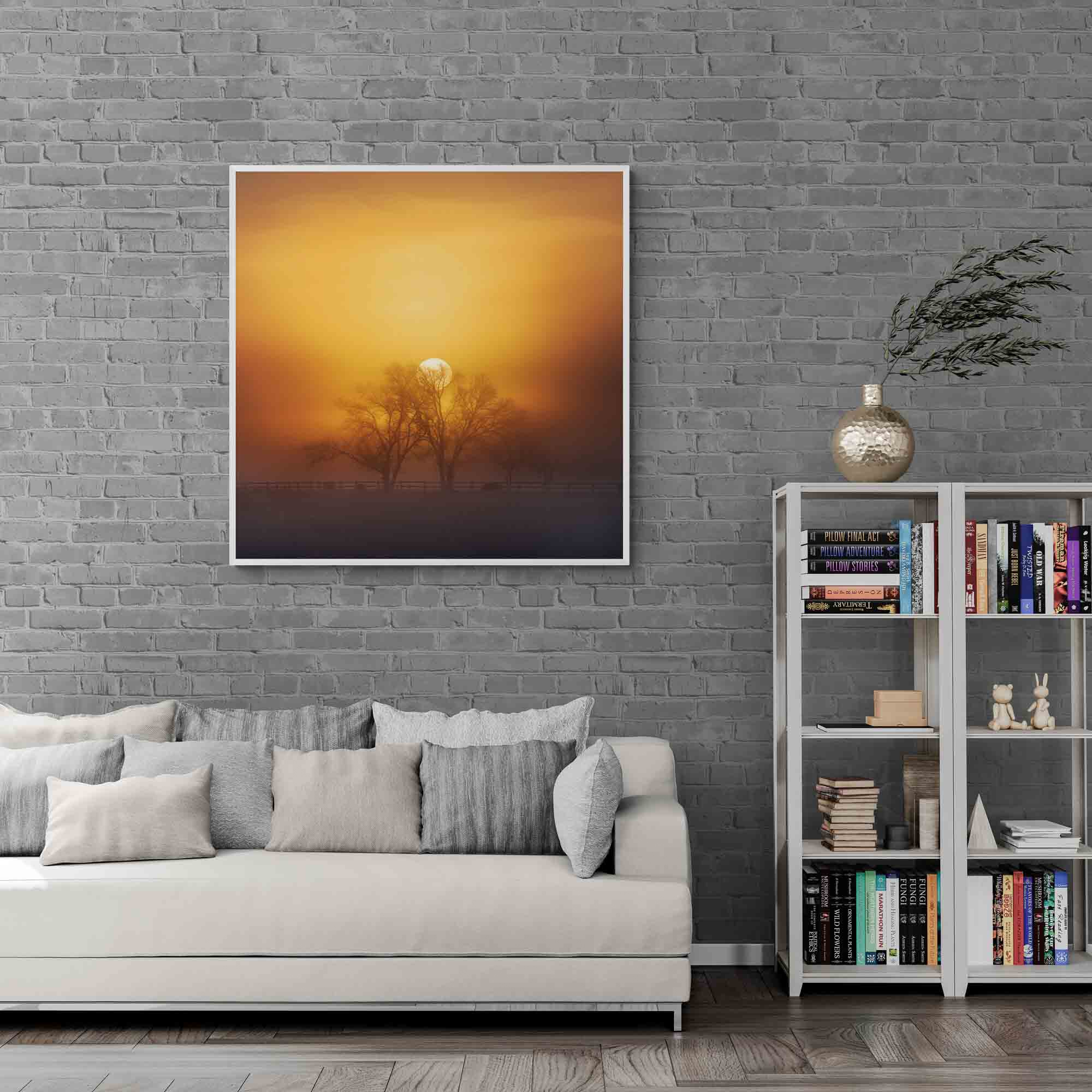 Harmony of Light at Richmond Lowlands, Sydney, Australia