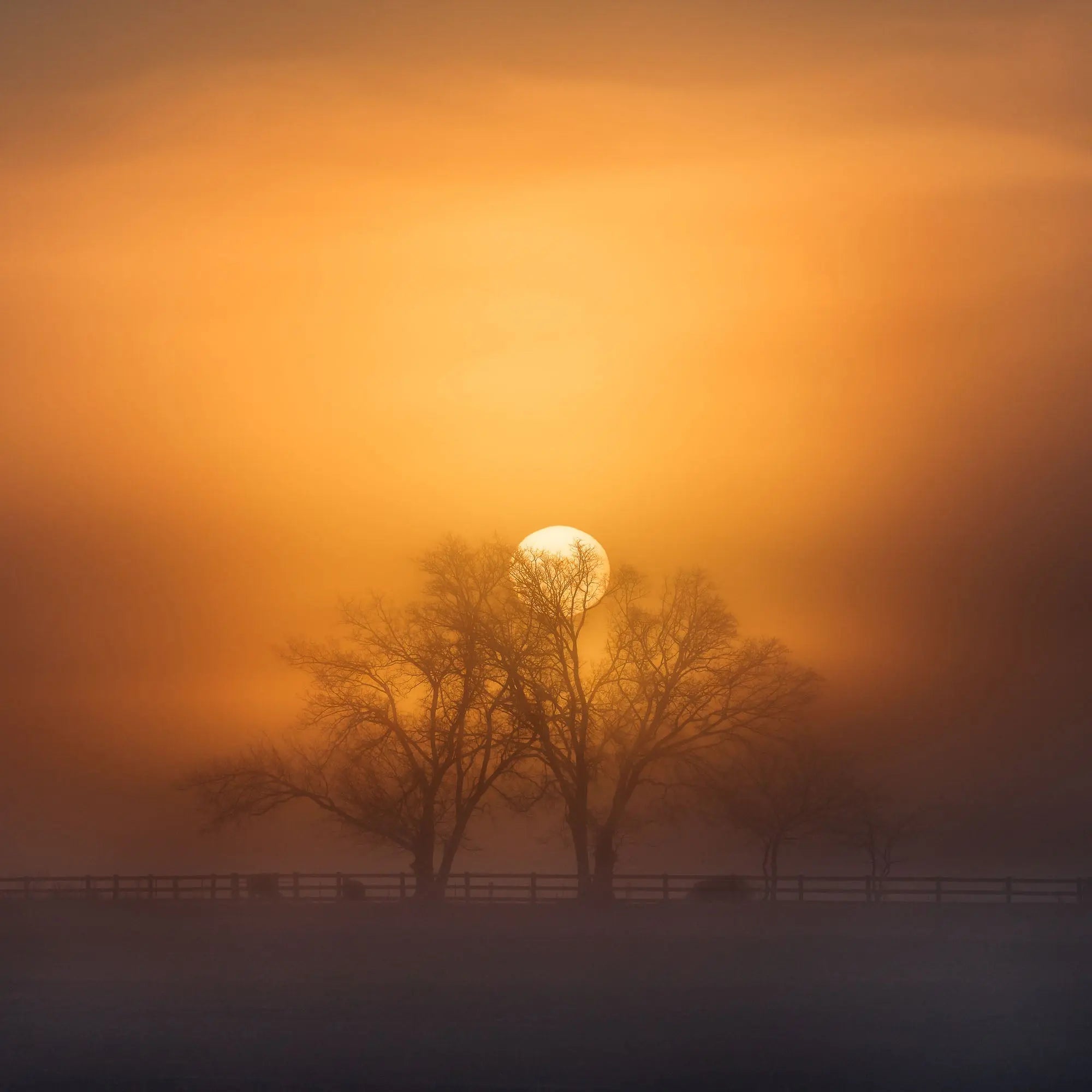 Harmony of Light at Richmond Lowlands, Sydney, Australia (Int)