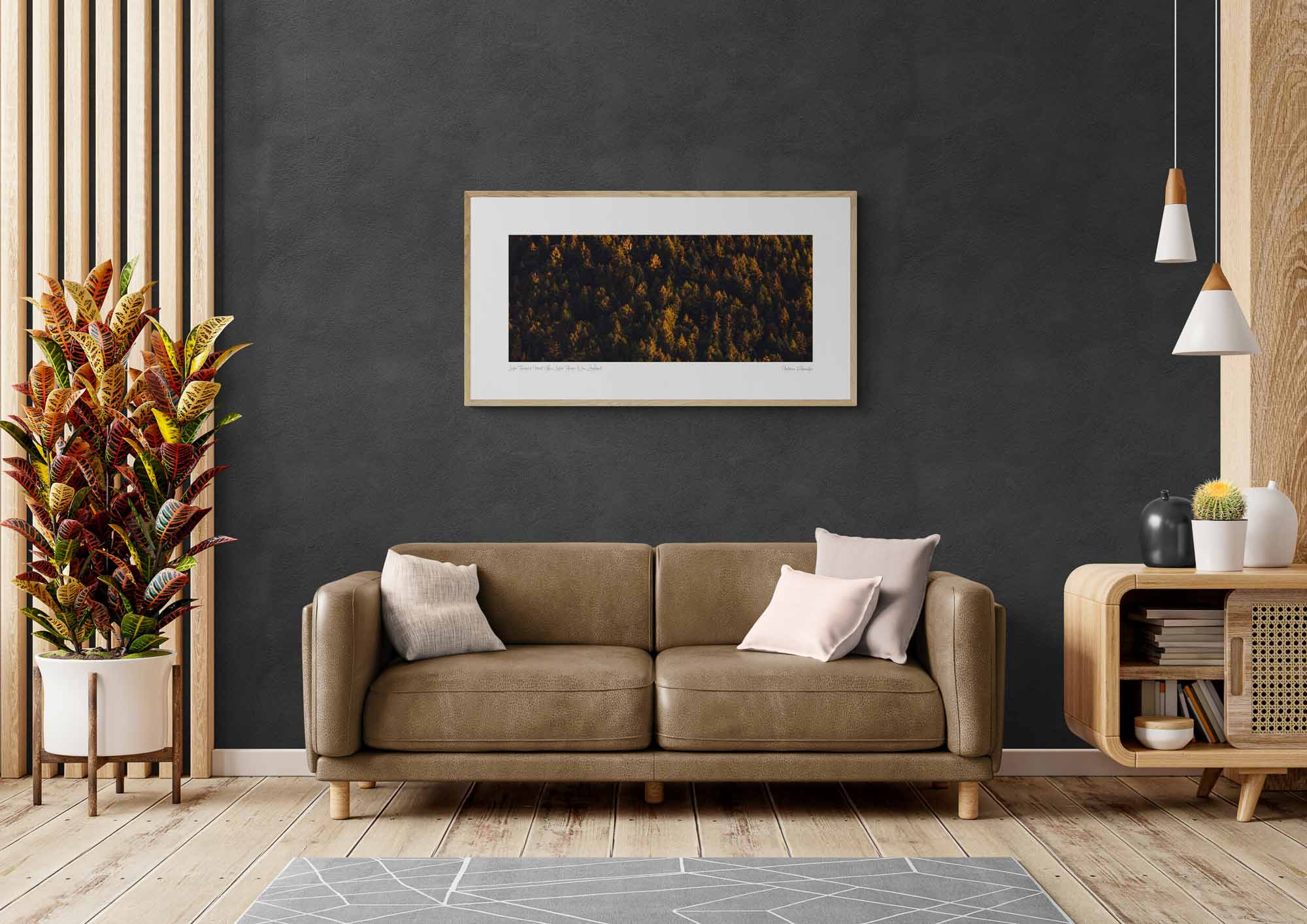 Lake Tekapo's Forest Glow, Lake Tekapo, New Zealand