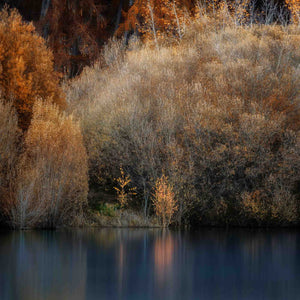 Lake Tekapo’s Golden Hues, Lake Tekapo New Zealand