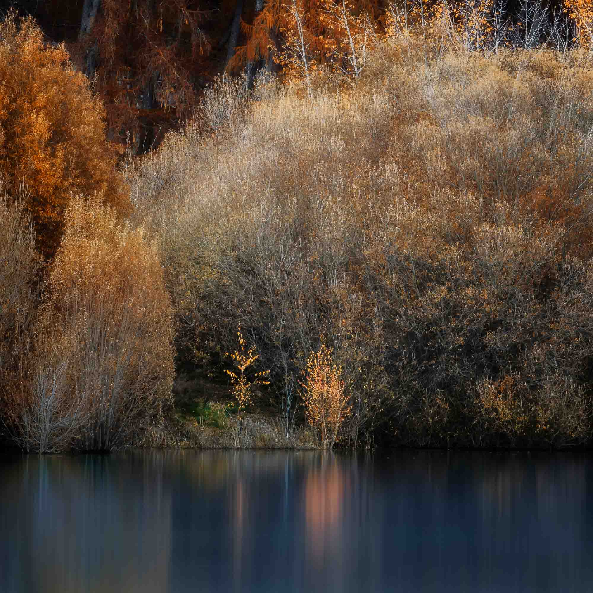Lake Tekapo’s Golden Hues, Lake Tekapo New Zealand (Int)