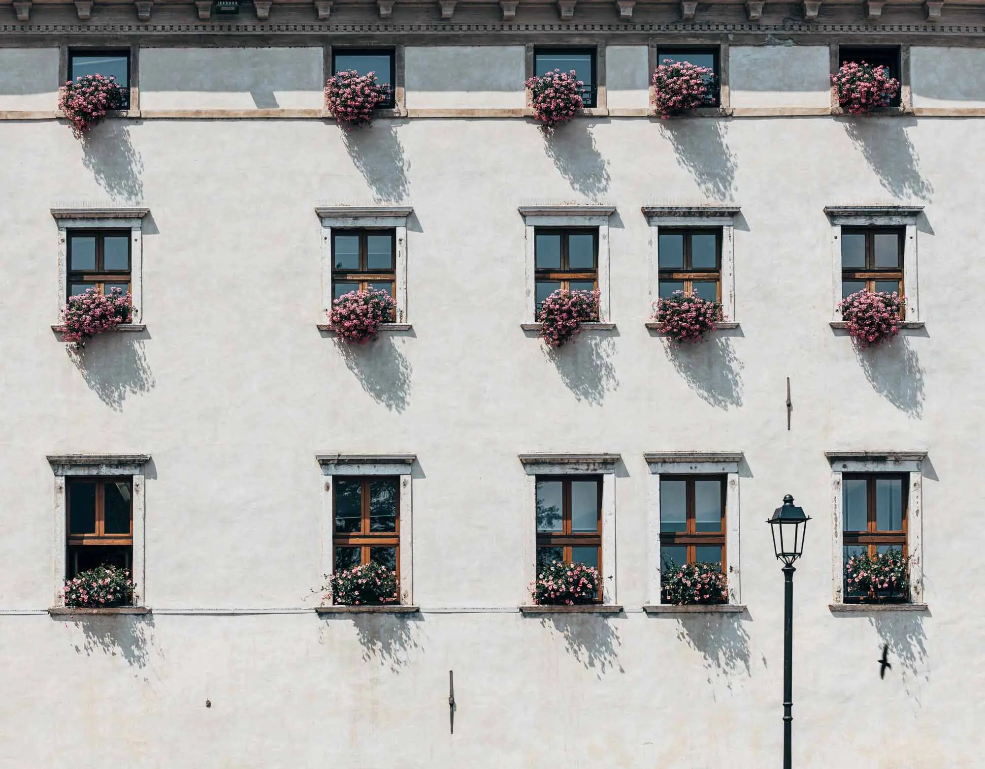 Limone's Floral Façade, Limone Sul Garda, Italy (Int)