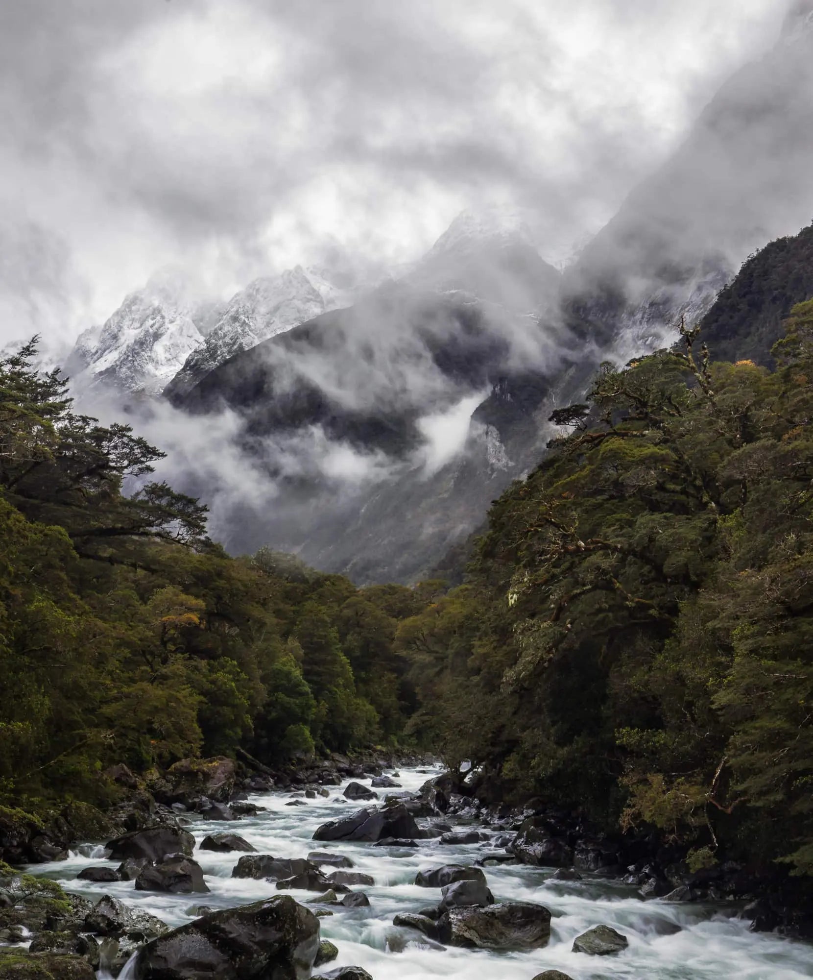 New Zealand Bs, Milford Sound, New Zealand (Int)