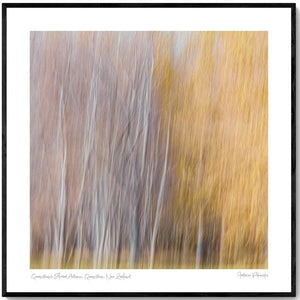 Queenstown's Blurred Autumn, Queenstown, New Zealand