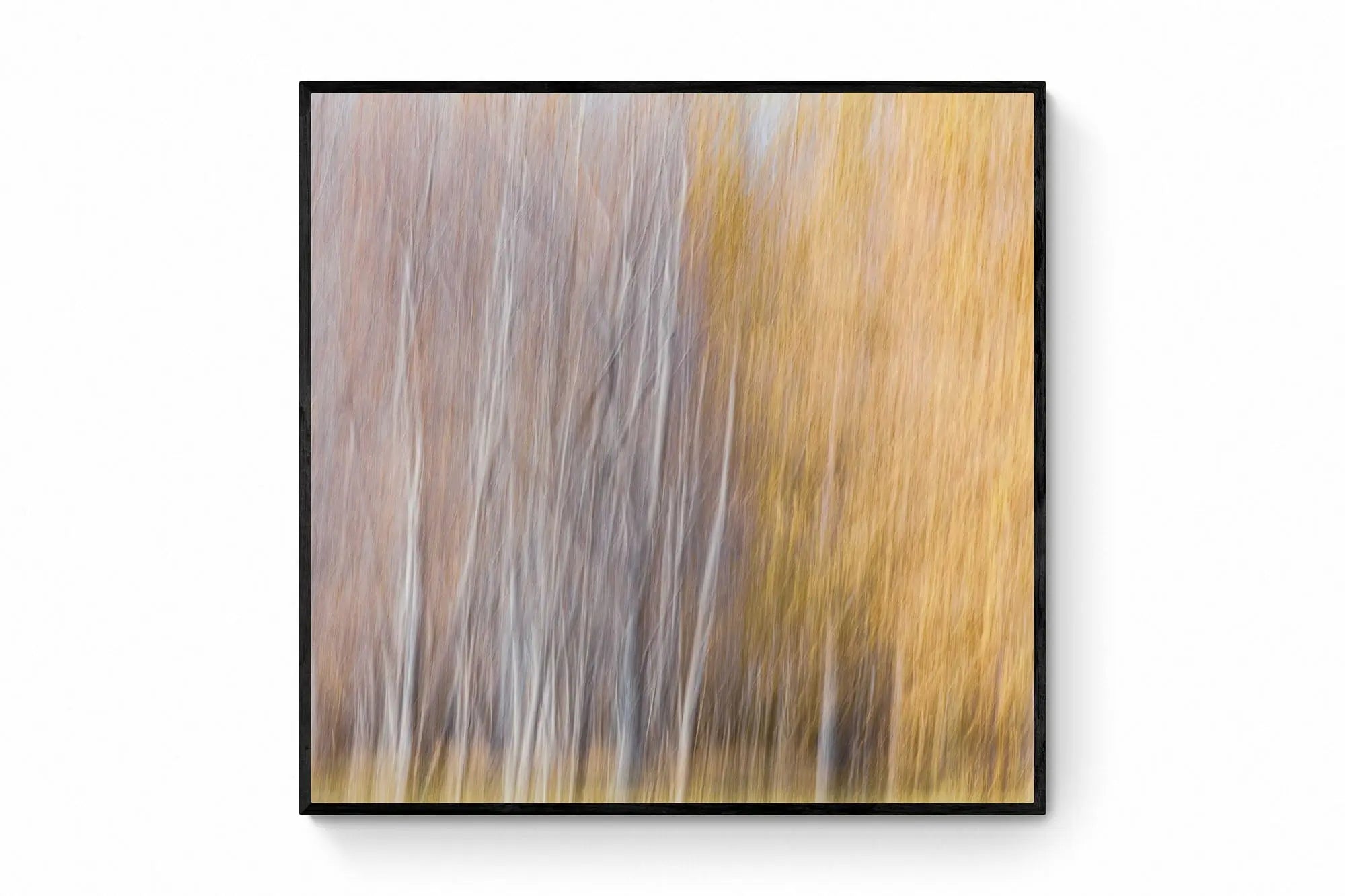 Queenstown's Blurred Autumn, Queenstown, New Zealand