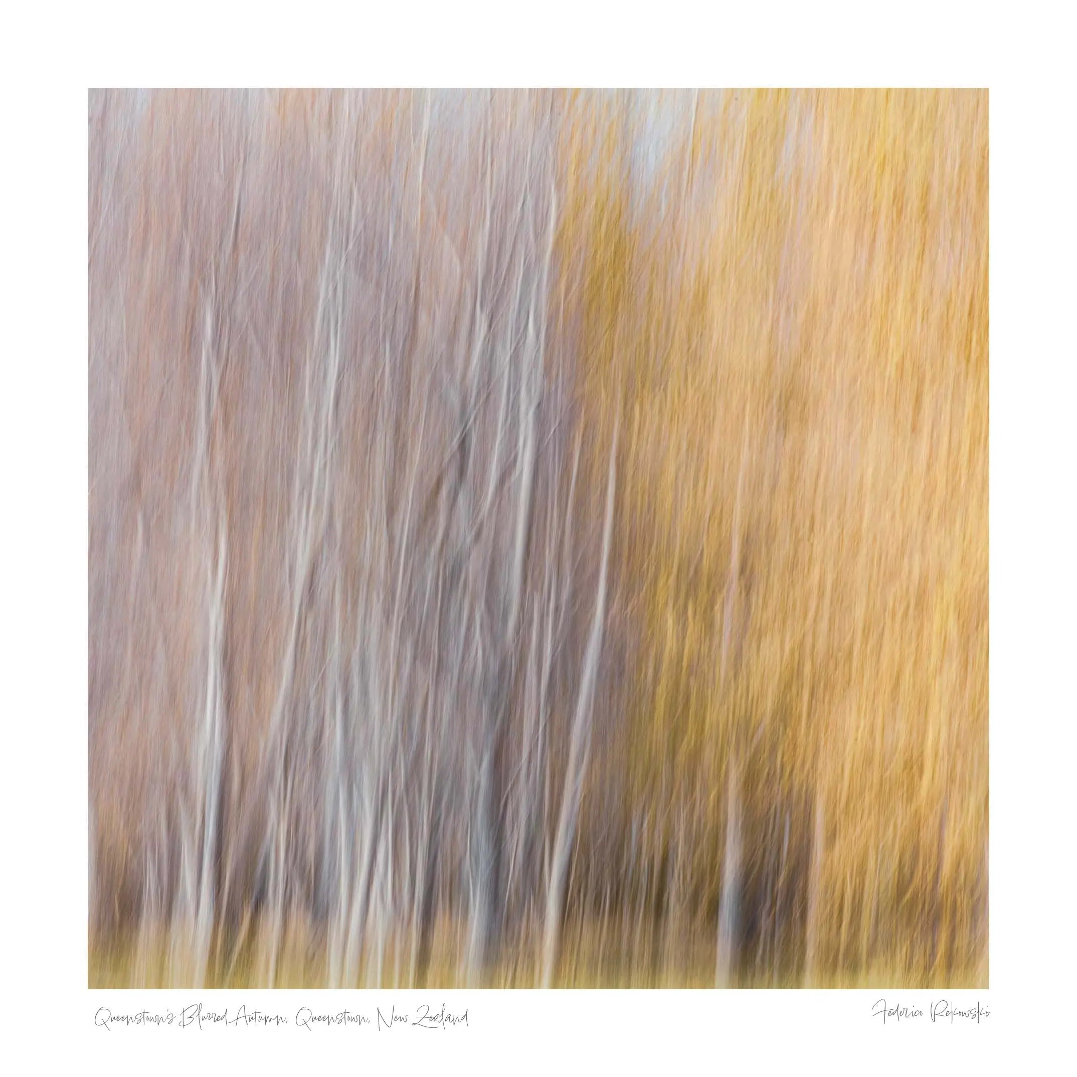 Queenstown's Blurred Autumn, Queenstown, New Zealand (Int)