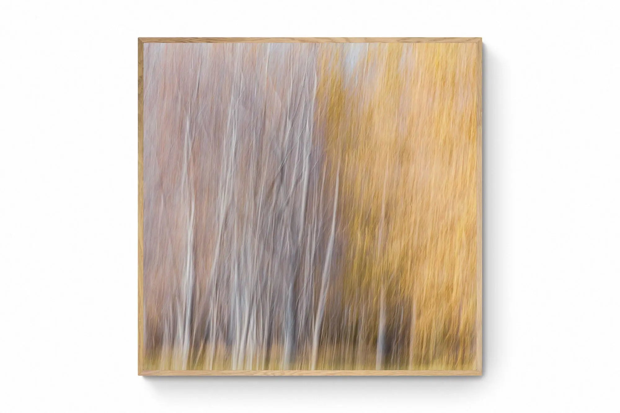 Queenstown's Blurred Autumn, Queenstown, New Zealand (Int)