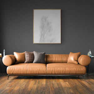 Sand Tree” Aireys Inlet, Victoria, Australia