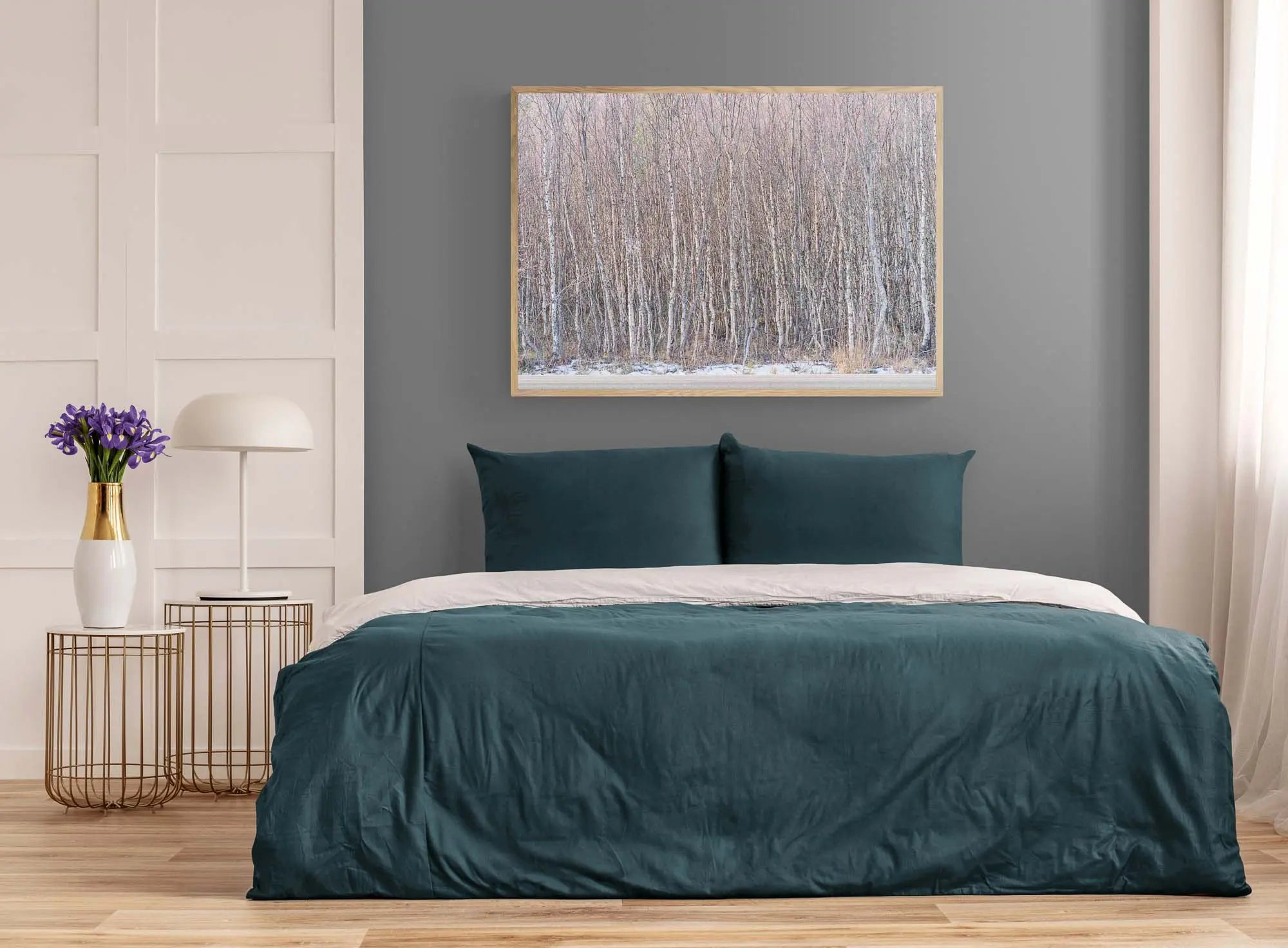 Silent Birch Forest of Tromsø, Tromso, Norway