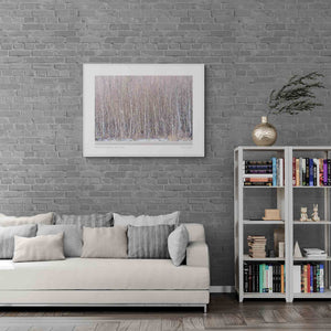 Silent Birch Forest of Tromsø, Tromso, Norway