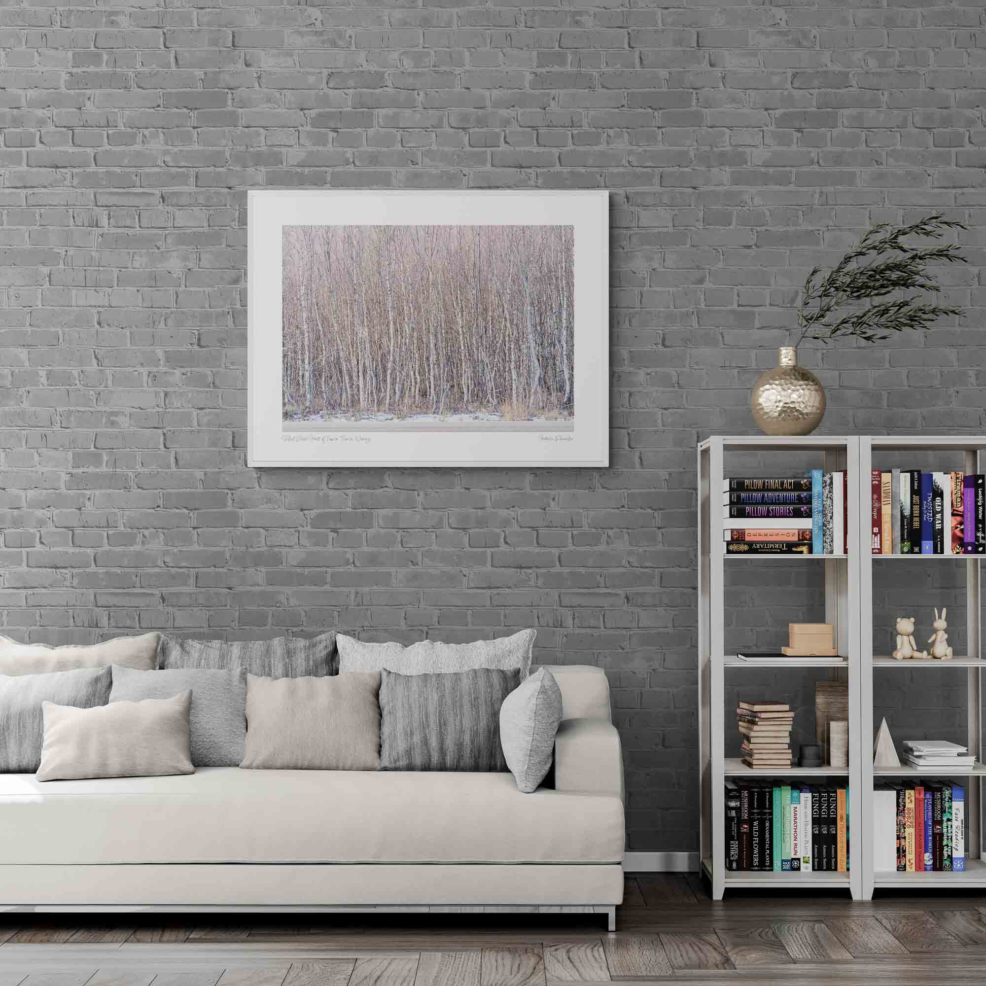 Silent Birch Forest of Tromsø, Tromso, Norway