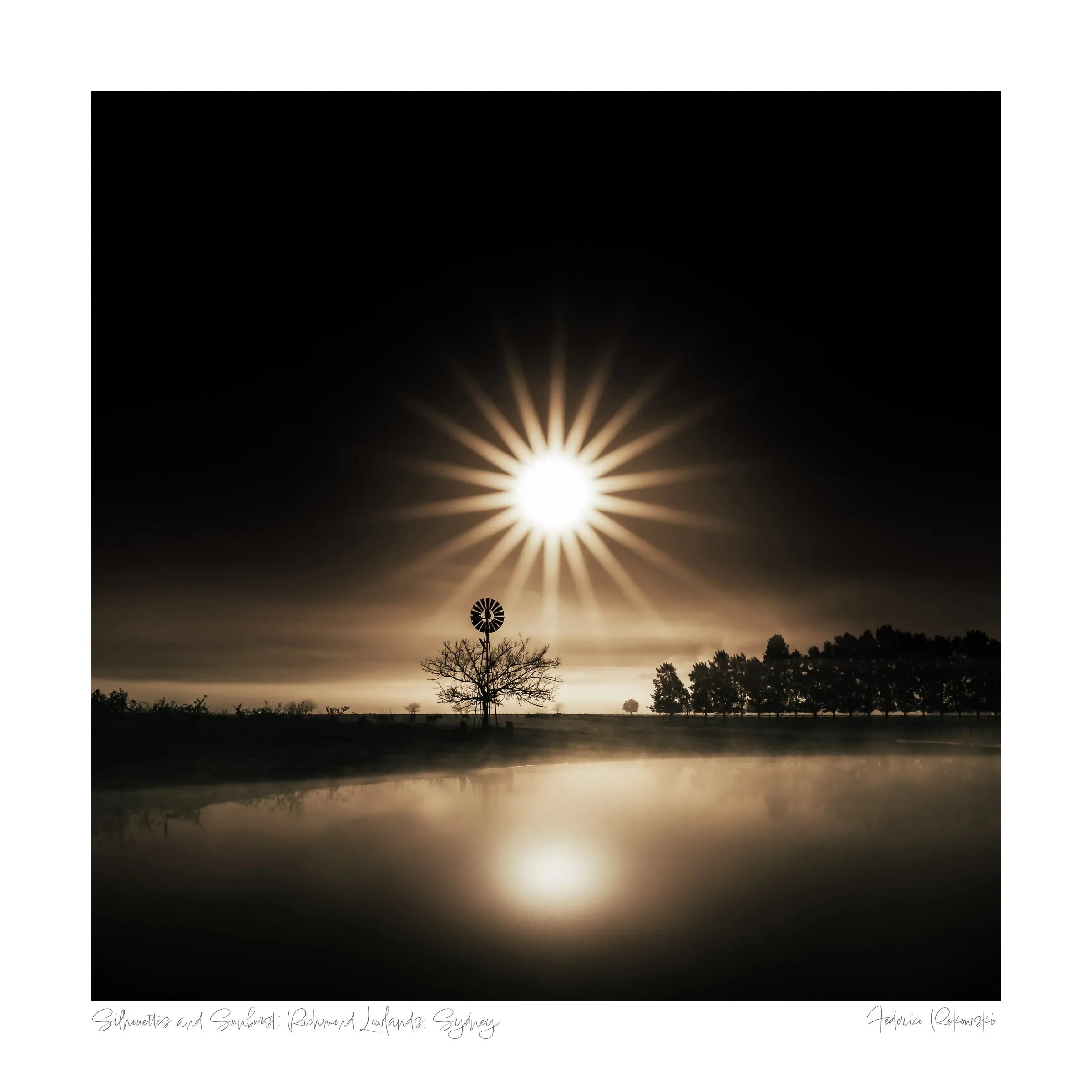 Silhouettes and Sunburst, Richmond Lowlands, Sydney