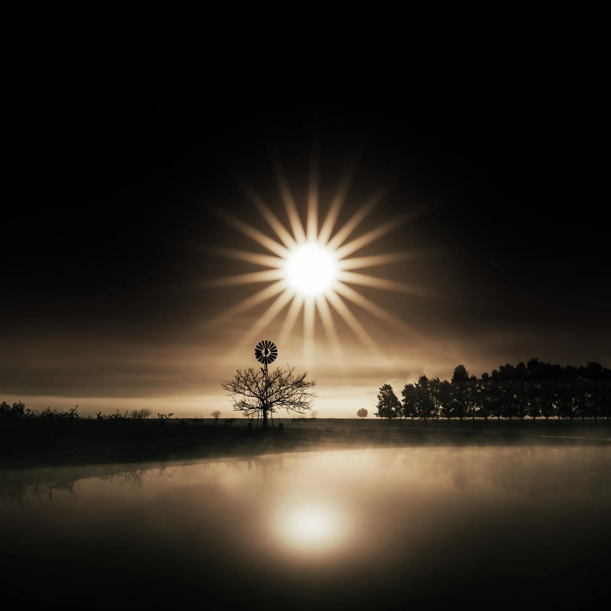Silhouettes and Sunburst, Richmond Lowlands, Sydney