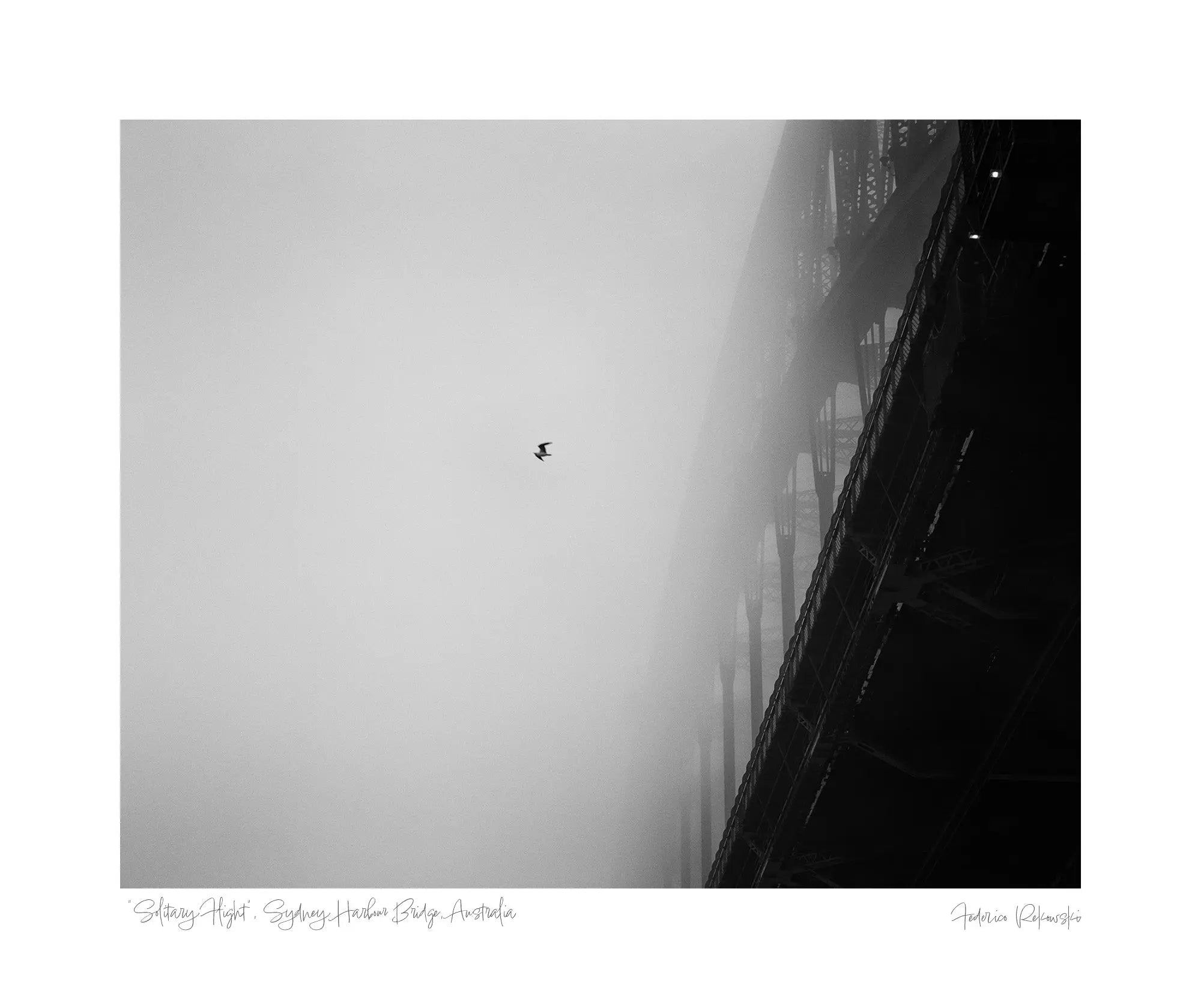 "Solitary Flight", Sydney Harbour Bridge, Australia