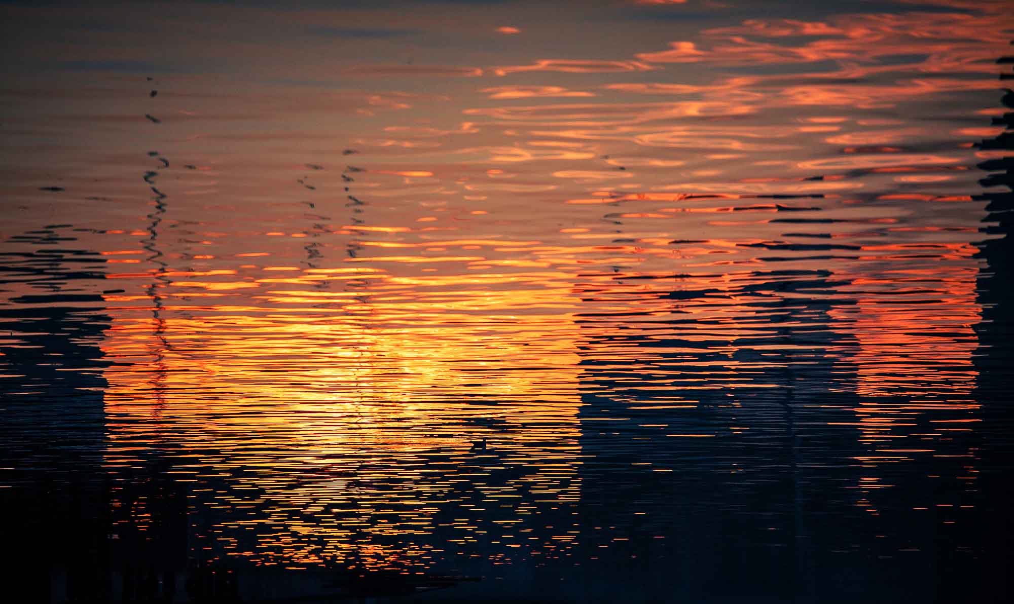 Sunrise Reflections at Sydney Harbour, Sydney, Australia (Int)