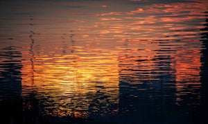 Sunrise Reflections at Sydney Harbour, Sydney, Australia (Int)
