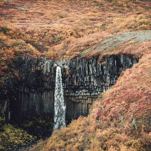 Svartifoss in Autumn, Vatnajökull National Park, Iceland