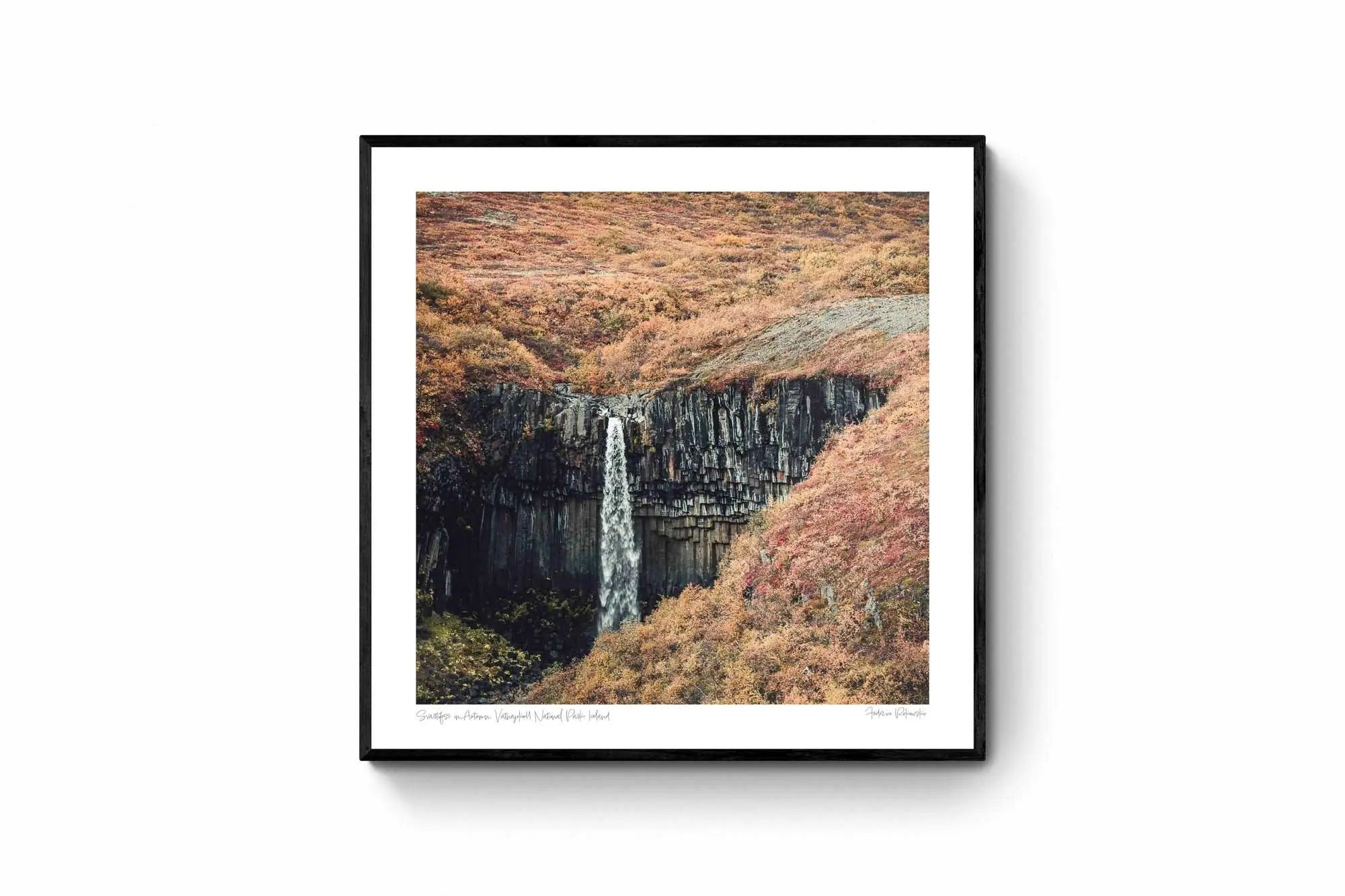Svartifoss in Autumn, Vatnajökull National Park, Iceland (Int)