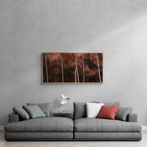 The Dolomites Autumn Canvas, Dolomites, Italy