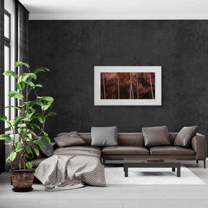 The Dolomites Autumn Canvas, Dolomites, Italy