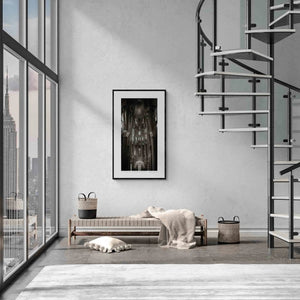 The Silent Hymn of La Sagrada Familia, Barcelona, Spain