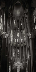 The Silent Hymn of La Sagrada Familia, Barcelona, Spain