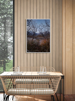 The Wall at the Road to Nusfjord, Lofoten, Norway