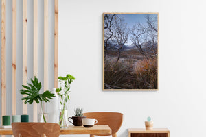 The Wall at the Road to Nusfjord, Lofoten, Norway