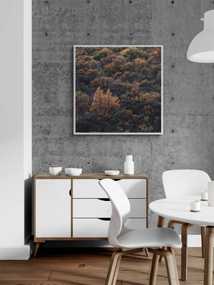 Vatnajökull's Autumn, Vatnajökull National Park, Iceland