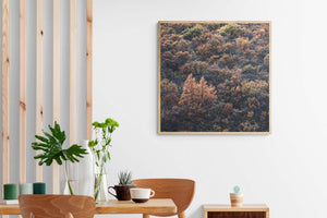 Vatnajökull's Autumn, Vatnajökull National Park, Iceland