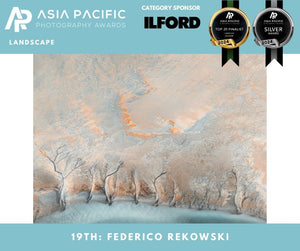 Water Trees, Fjord di Papos, Iceland