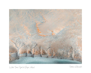 Water Trees, Fjord di Papos, Iceland