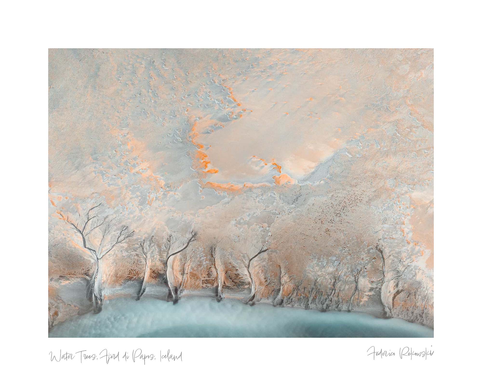 Water Trees, Fjord di Papos, Iceland