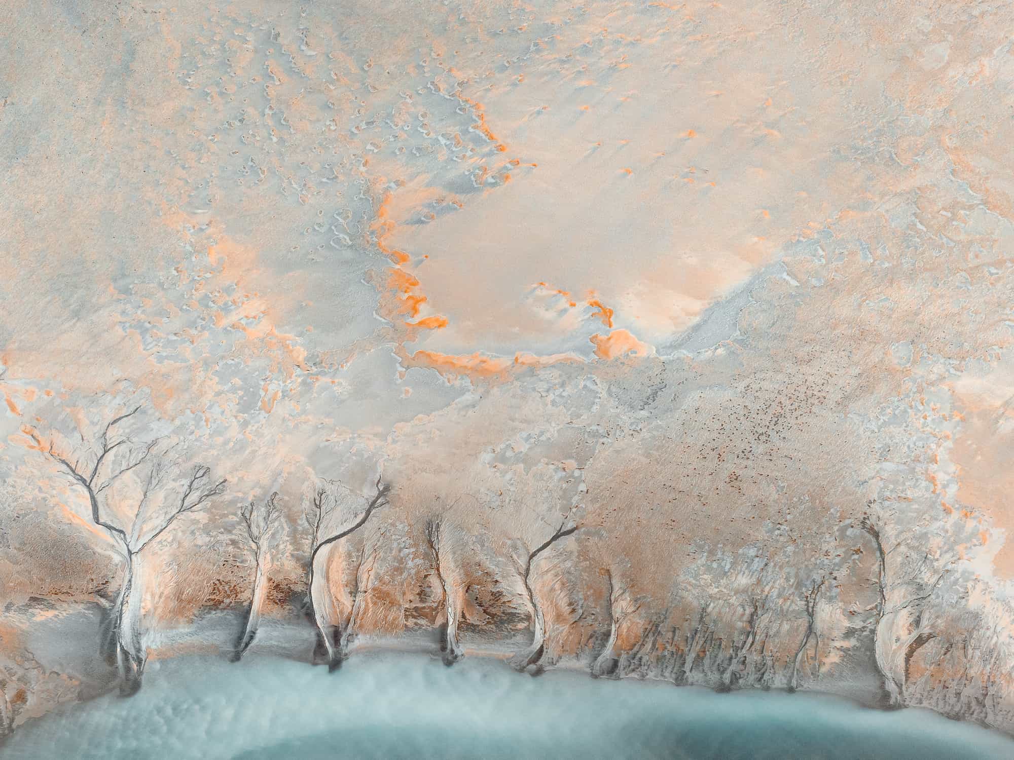 Water Trees, Fjord di Papos, Iceland (int)