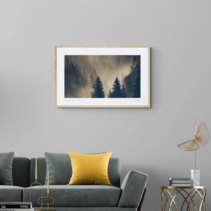 Whispering Forest, Alpe DI Suisi, Italy