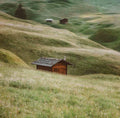 Wooden chalets, Alpe di Siusi, Dolomites, Italy