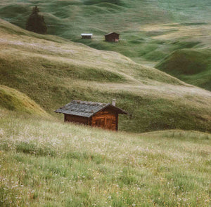Wooden chalets, Alpe di Siusi, Dolomites, Italy