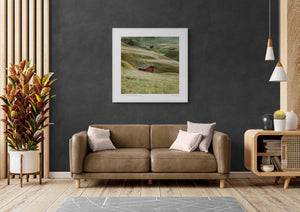 Wooden chalets, Alpe di Siusi, Dolomites, Italy