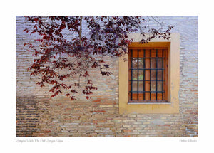 Zaragoza's Window to the Past, Zaragoza, Spain